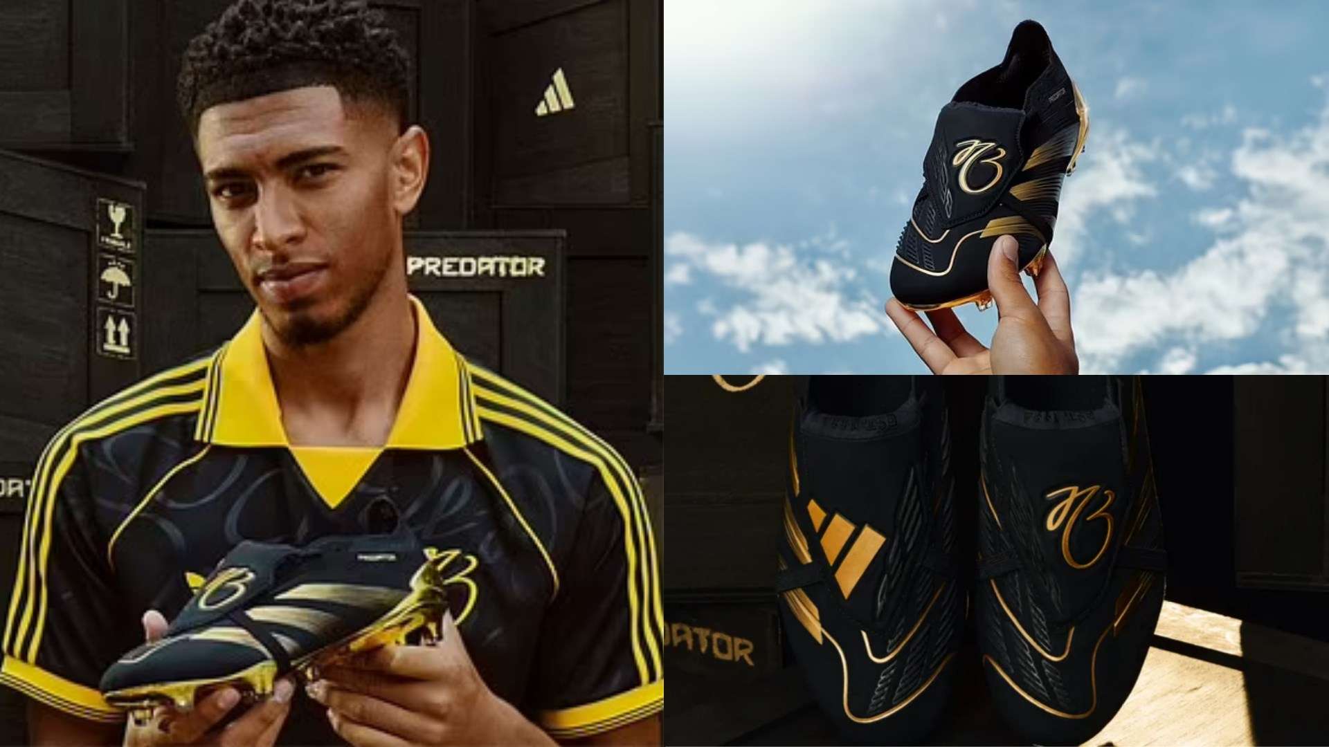 真正实现自 真正实现自