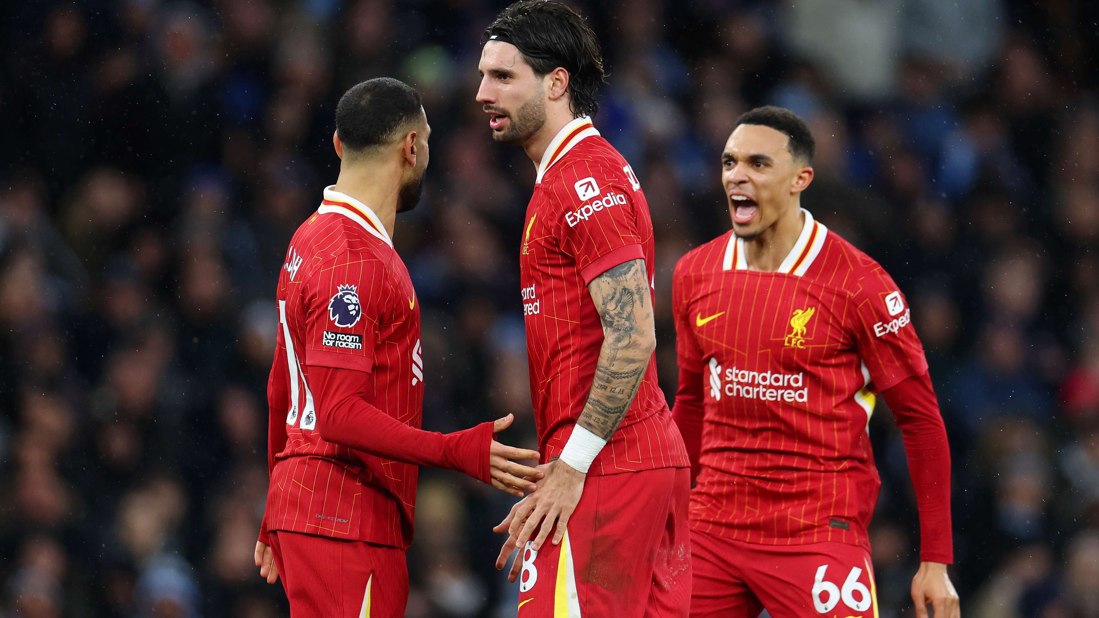 积极引进年 积极引进年