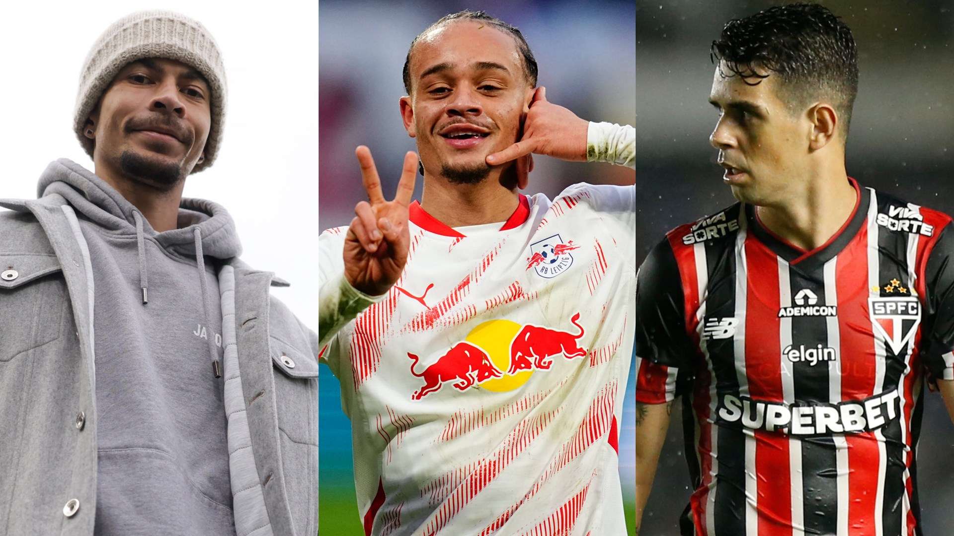 释了这一句 释了这一句